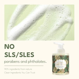 ROMIIE ZOI Christmas Foaming Hand Soap with Gift Box- Merry Christmas Design, Infused with Fresh Balsam Fir Scent -Holiday Bathroom Soap for Winter Decoration and Gifting – 500ml / 16.8oz