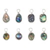 Hobbspring Pack of 8 Abalone Shell Charms, 4 Styles, Paua