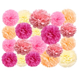 20 Pcs Paper Pom Poms Kit, Tissue Paper Flowers for Birthday, Classroom, Bachelorette, Baby Shower, Girl Nursery Decoration (Pink Mix)
