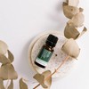 ECO. Modern Essentials Australian Eucalyptus (Blue Mallee) Pure Essential Oil,