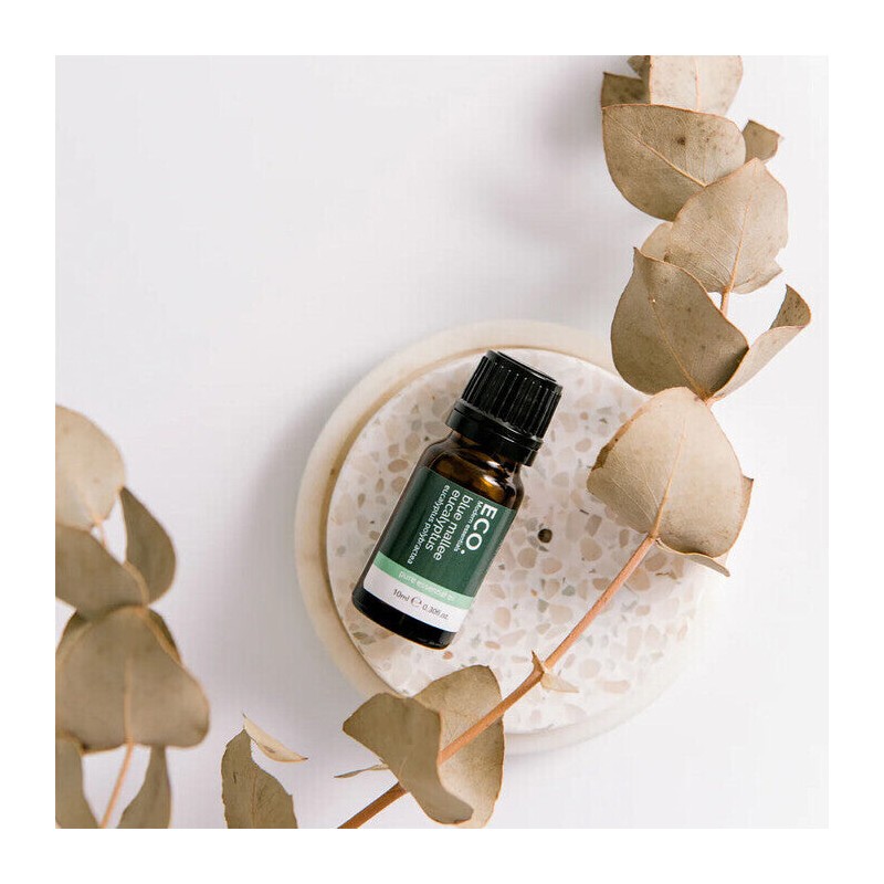 ECO. Modern Essentials Australian Eucalyptus (Blue Mallee) Pure Essential Oil,