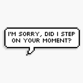 did i step on your moment? Bumper Sticker Vinyl Decal 5 inches