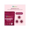 Wellthy Berberina 60 Cápsulas Berberis Aristata 500mg C/u Sin Sabor