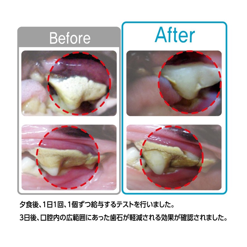 Denti Three Fairy EX Small 14pcs