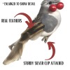 Banberry Designs Feathered Song Bird Clip-On Ornaments - Assorted Styles
