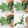 Hogareno Ec 5 Piezas Guia Enredadera Con Rosas Artificiales Decoración