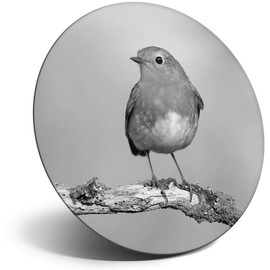 Destination Vinyl ltd Magnet for Refrigerator, Fridge BW - Robin Bird Garden Cute for Office, Cabinet and Whiteboard, Magnetic Stickers, 38009