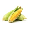 Golden X Bantom Corn Seeds, 50 Heirloom Seeds Per Packet,