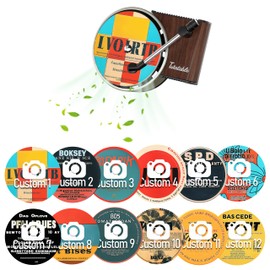 Maicican 12pcs Car Air Fresheners Vent Clips,Pop Singer Cover Record Player Car Fresheners for Women, Car Inter Accessories Music Lover Gift. (Retro B)