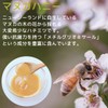 【訳あり】ソーキ マヌカハニーキャンディ 300g MGO 573+ 乳酸菌 オリゴ糖 レモン