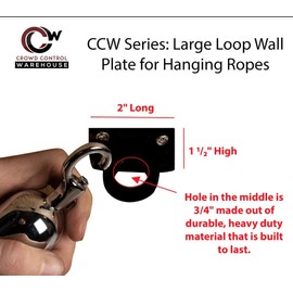 Montour Line Large Loop Wall Plate for Hanging Ropes in Satin Brass, Post Queue Line Barrier for Movie Theaters, Grand Openings, Hotels