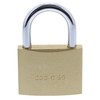 Burg Wächter 222 60 C-Line 60 mm Padlock