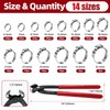 250PCS Single Ear Hose Clamp Kit with Storage Box &