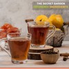 Organic Lemon Ginger Ceylon Green Tea - 50 Packets -