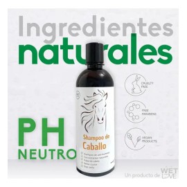 Shampoo Anticaida Sin Parabenos Aceite Jojoba Menta Sabila