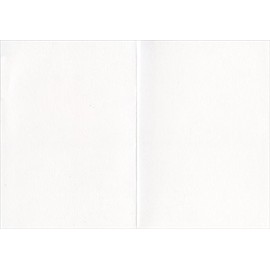 Smiling Golden Retreiver Avanti Puppy Dog Deluxe Matte Blank Card