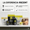Proteína Whey 2 Lb Polvo Rápida Absorción Ascent