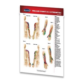 Trigger Points II: Extremities - Meridian Points Pocket Reference Chart - Reflexology Quick Reference Guide by Permacharts