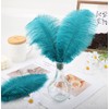 iHUFeather 20pcs Peacock Blue Ostrich Feathers Natural Bulk 10-12Inch 25-30cm