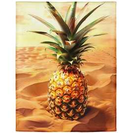 Rstick Pineapple Fleece Blanket for Fruit Lovers 60" x 80" Desert Throw Blanket Cozy Warm Gifts for Men Women and Teen
