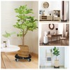 DOFIMATE 2 Pack Rolling Plant Stand with Wheels,15-21’’Adjustable Heavy Duty