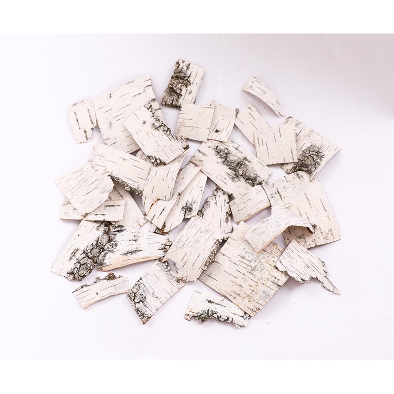 Natural Birch Bark Sheets for Decor Craft Different Sizes of