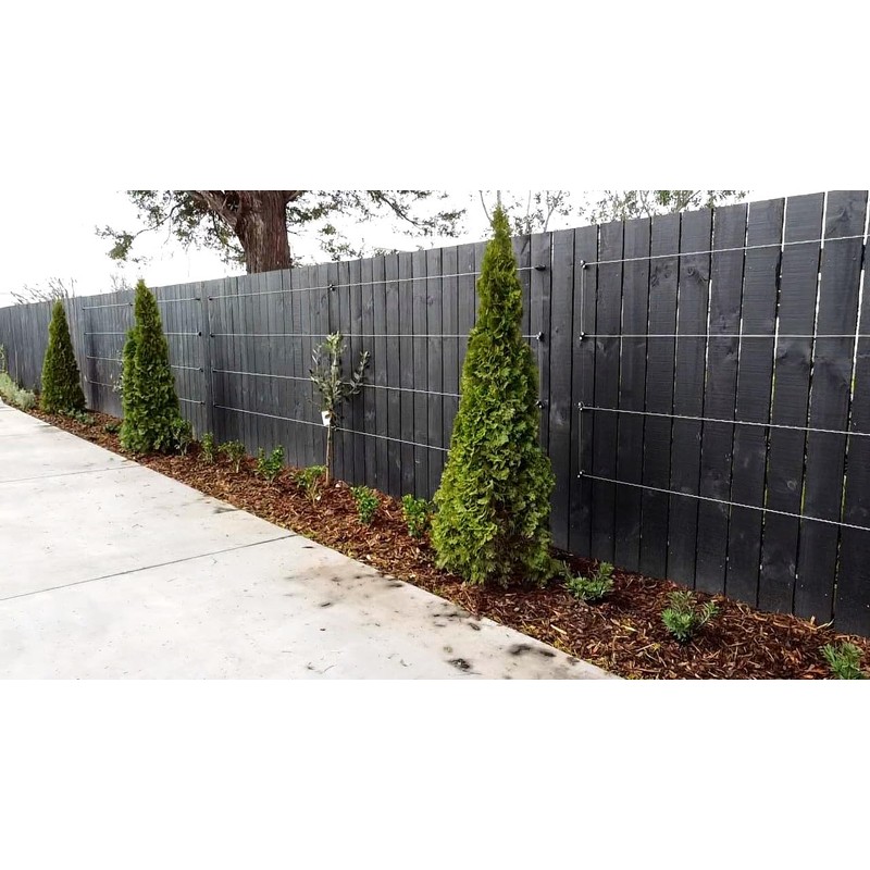 Espalar Surface Mounted Heavy Duty Universal Espalier/Trellis Kit for Climbing