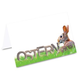 Pricaro Place Cards Easter Bunny Field Pack of 50
