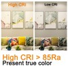 ILC RGB LED Light Bulb, Color Changing 40W Equivalent, Daylight