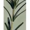 Aromatica Rosemary Anti-hair Loss Tonic- Tónico Para Cabello