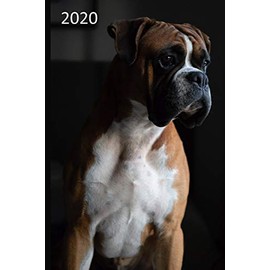 2020: Dog Diary, Planner, Agenda - Week Per View - Gift for Dog Lover - BOXER