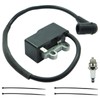 A411001620 Ignition Coil for Echo PB-580H,PB-580T Backpack Blower Engine Flywheel