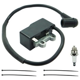 A411001620 Ignition Coil for Echo PB-580H,PB-580T Backpack Blower Engine Flywheel Coli Module with Spark Plug