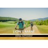 Lions Mane Suplemento Pure Ingredients 365 Cpsulas Sin Gluten