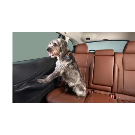 Subaru 2020-2025 Subaru Outback Pet Rear Door Protector SOA567R000 Genuine Oem Factory