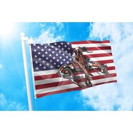 DMSE End of Trail American Indian Native USA Flag 3X5 Ft Foot 100% Polyester 100D Flag UV Resistant (3' X 5' Ft Foot)