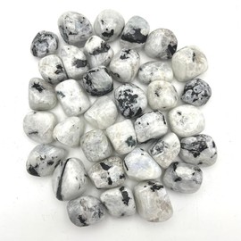 GEMSCITE Rainbow Moonstone 1/2 LB Tumbled Stones and Crystals Bulk Natural Crystal Kit for Reiki Healing Crystal Polished, Tumble Stones, Chakra Balancing, Good Luck, Reiki Gift, Home Décor