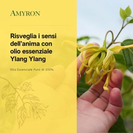 Ätherisches Ylang-Ylang-Öl 30 ml AMYRON Natürlich Und Rein Zu 100% Ideale Für Aromatherapie Und Diffusor Ätherische Öle/Massagearomatisch/Verwendung In Lebensmitteln.