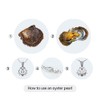 LGSY 7-8mm Mixed Colored Akoya Saltwater Cultured Pearl Oysters for