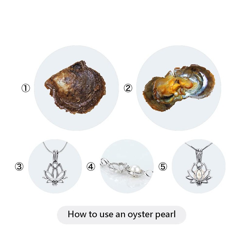 LGSY 7-8mm Mixed Colored Akoya Saltwater Cultured Pearl Oysters for