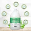 Ginger Lily Farms Aloe Vera Conditioner