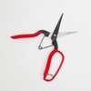 Geely Harvesting Shears with Guard Made in Japan, Harvesting Fruits