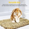 CVFRTT 4 Pieces Of Small Straw Mats, Woven Pet Straw