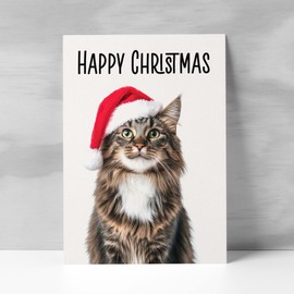 Postcard Prints - Fun Christmas Card of a Maine Coon Cat Wearing A Santa Hat Whimsical Christmas Card For Animal Lover For Him or Her