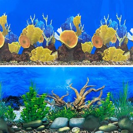 XCNO Aquarium Background Seabed Coral Rock Water Plants Fish Tank Backdrop 10 20 Gallon Fish Tank Background for Aquarium