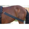 PFIFF 103117 Lungier and Training System Elastic, Training Band for