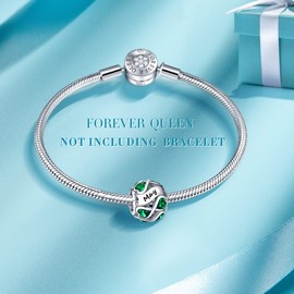 FOREVER QUEEN Women's Infinity Birthstone Charm for Bracelet 925 Sterling Silver Birthstone Charms Beads fit Charms (May birthstone)