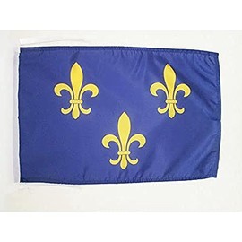 AZ FLAG FRENCH AMERICANS OF MIDWEST FLAG 18'' x 12'' cords - FRANCO-AMERICANS SMALL FLAGS 30 x 45cm - BANNER 18x12 in