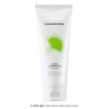 Chamzone 참존 징코 내츄럴 징코 클렌징 폼 200g Charmon Zingko