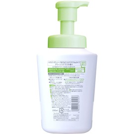 hadakara(ハダカラ) ボディソープ 泡で出てくるサラサラfeelタイプ グリーンシトラスの香り 530ml